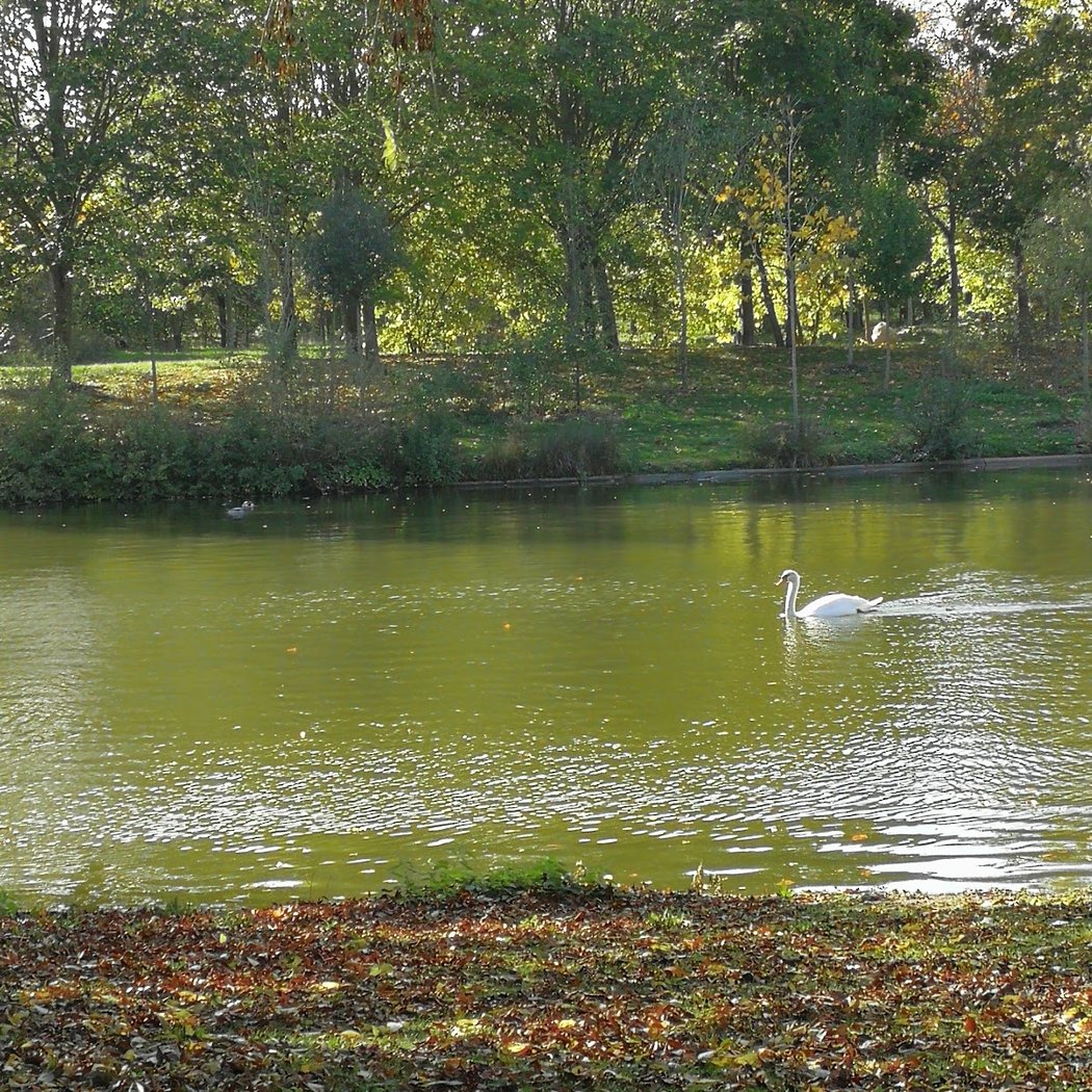 Breathe in the Calm of Bois de Vincennes 3